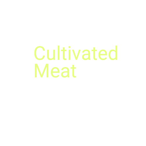 Cultivated Meat News